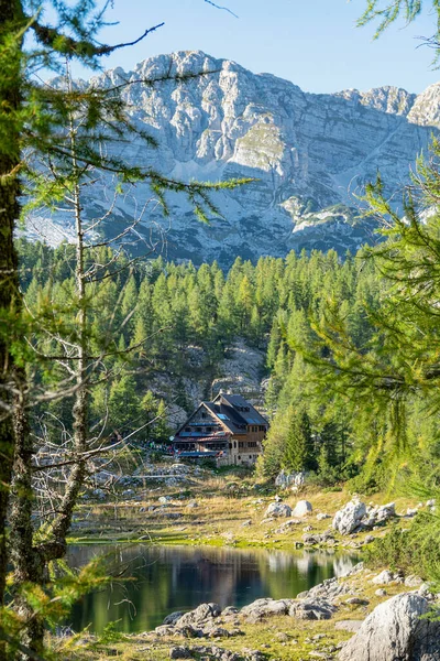 VERTICAL: Scenic view of a lakefront cottage hiding in forest covered mountains — 图库照片