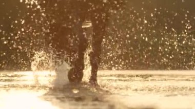 At, yaz akşamları sıcaktan serinlemek için derede yürüyor..