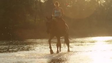 Genç bir kadın gün batımında atını sığ nehirden çıkartıyor..
