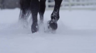 Yaklaşın, atların toynakları taze kar tanelerinin karını tekmeliyor..