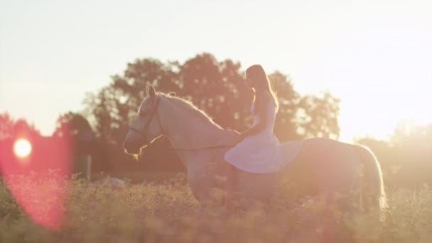 COPY SPACE: Mulher bareback montando um garanhão passado um campo florescente ao pôr do sol. — Vídeo de Stock