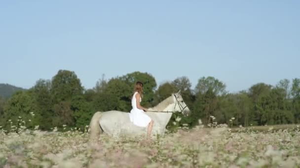 Radosna młoda kobieta bez siodełka jadąca na ogierze obok kwitnącego pola. — Wideo stockowe