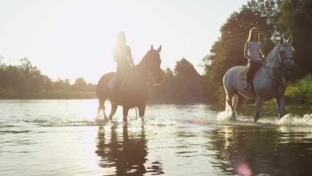 Жіночі вершники охолоджують коней у відсвіжній воді річки. — стокове відео