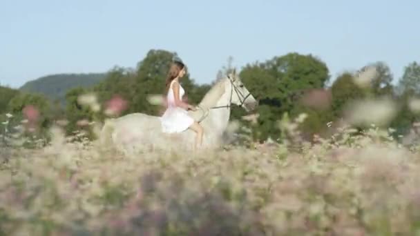 SLOW MOTION: Cinematic shot of girl galloping while bareback riding a stallion. — Stock Video