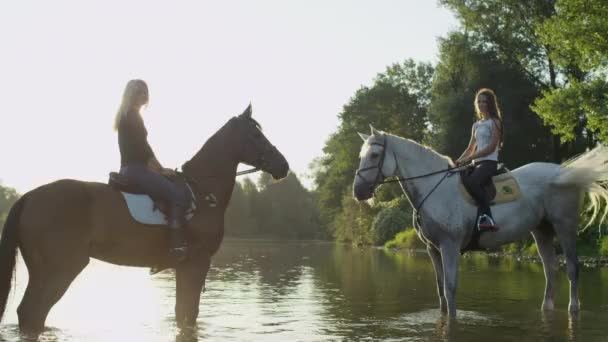 ÂNGULO BAIXO: Amigas se sentam em cavalos e olham para a câmera ao pôr-do-sol dourado. — Vídeo de Stock