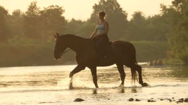 FLARE DE LA LENTE: Los rayos de sol dorados brillan en la mujer que monta su caballo a lo largo del río poco profundo. — Vídeos de Stock