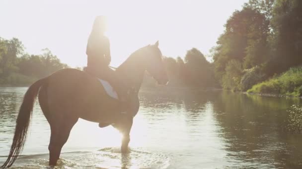 FERMETURE : Deux femmes montent à cheval dans le ruisseau frais par une chaude soirée d'été — Video