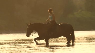 LENS FLARE: Female rider leads her horse out of the tranquil river at sunset.
