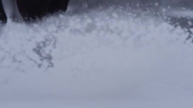 CLOSE UP: Stallion treads fresh powder snow covering the countryside in December