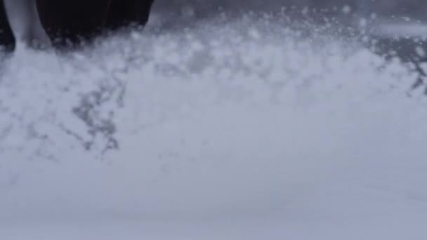 FECHAR UP: Garanhão pisos neve em pó fresco cobrindo o campo em dezembro — Vídeo de Stock