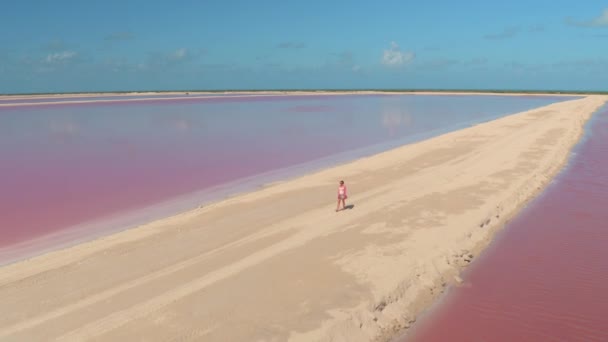 AERIAL: Γυναίκα ταξιδιώτης περπατά κατά μήκος ενός άδειου χωματόδρομου διασχίζοντας ροζ λίμνες αλάτι. — Αρχείο Βίντεο