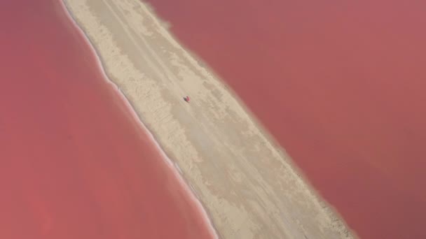 TOP DOWN: Drone shot van een vrouw die de levendige roze zoutboerderij in Yucatan verkent. — Stockvideo