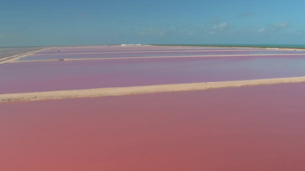 AERIAL: Vliegen over de roze gekleurde lagunes van beroemde Las Coloradas op zonnige dag. — Stockvideo