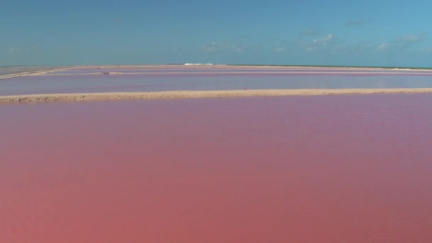 AERIAL: Giovane turista donna esplora le famose lagune rosa dello Yucatan soleggiato. — Video Stock