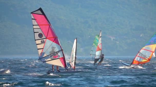 SLOW MOTION: Windfoil surfer cruises tussen windsurfers rijden in Kroatië. — Stockvideo