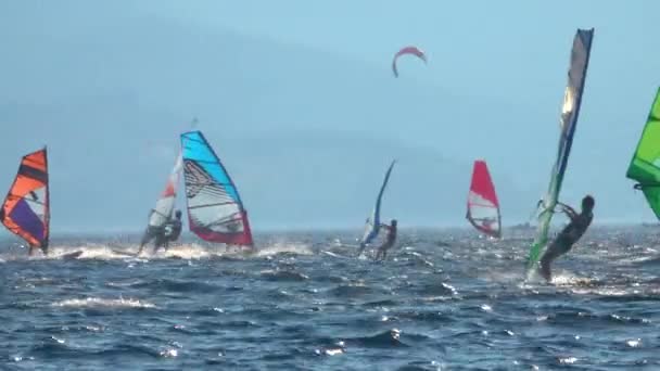 TIMELAPSE: Männlicher Windsurfer navigiert seine Brandung zusammen mit unzähligen anderen Fahrern. — Stockvideo