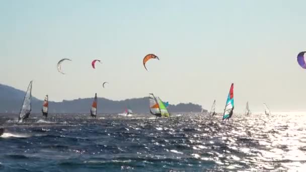 Energieke mannen en vrouwen genieten van hun vakantie en windsurfen in de buurt van Korcula. — Stockvideo