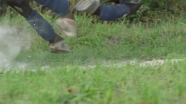 LOW ANGLE: Braunes Pferd wirbelt Staub auf, während es auf einer Landstraße galoppiert. — Stockvideo