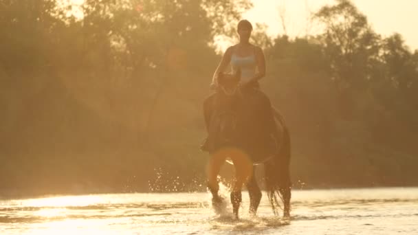 LENS FLARE: Junge Frau reitet bei Sonnenaufgang mit ihrem Pferd auf dem flachen Fluss. — Stockvideo