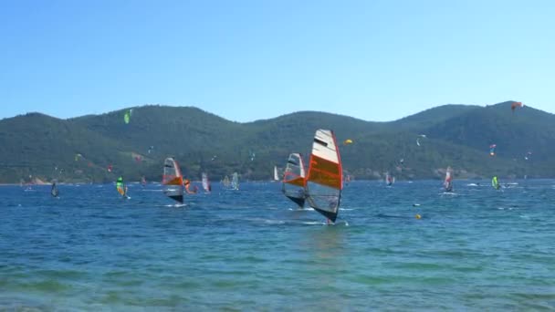 Beginnende windsurfers rijden in de lage winden op een zonnige zomerdag. — Stockvideo