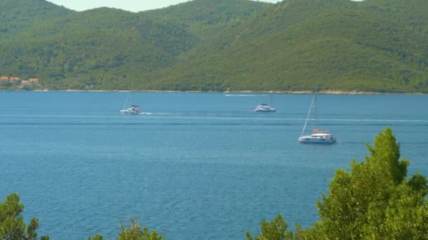 Τουριστικά ιστιοφόρα πλέουν γύρω από την ήρεμη Αδριατική θάλασσα σε μια ηλιόλουστη μέρα του καλοκαιριού. — Αρχείο Βίντεο