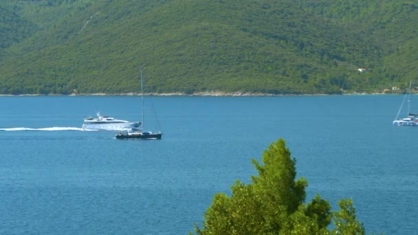 Γραφική λήψη σκαφών και γιοτ που πλέουν γύρω από όμορφες ακτές στην Κροατία — Αρχείο Βίντεο