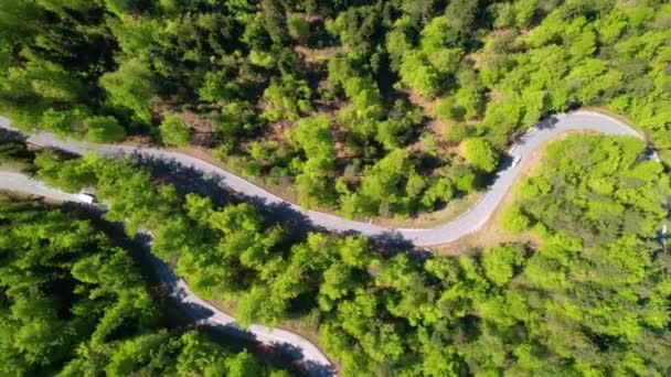 Slovenya ormanlarında yol gezisindeki arabalar boş bir yol boyunca ilerliyorlar.. — Stok video