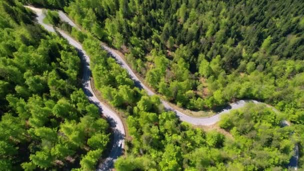 AERIAL: Volando por encima de una carretera de retorno que atraviesa un bosque verde idílico. — Vídeos de Stock