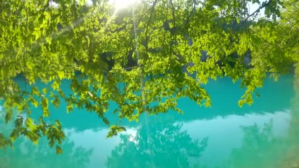LENS FLARE: Sommersonnen scheinen durch das Blätterdach, das sich über den smaragdgrünen See erstreckt. — Stockvideo