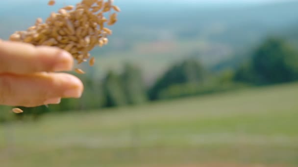 FERMER Une agricultrice méconnaissable sème des graines dans la campagne verte pittoresque — Video