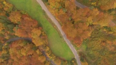 Sonbaharda renk değiştiren ağaçların arasından geçen bir yolun drone görüntüsü