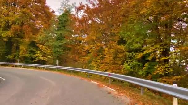 POV: Jízda po prázdné silnici vinoucí se nádherným podzimním barevným lesem. — Stock video