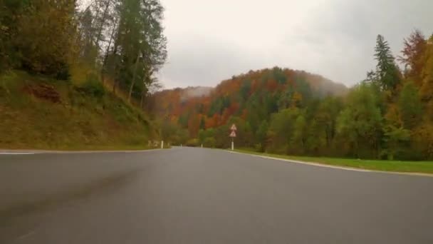 POV: Primeira pessoa vista de dirigir estrada vazia atravessando uma floresta colorida queda — Vídeo de Stock