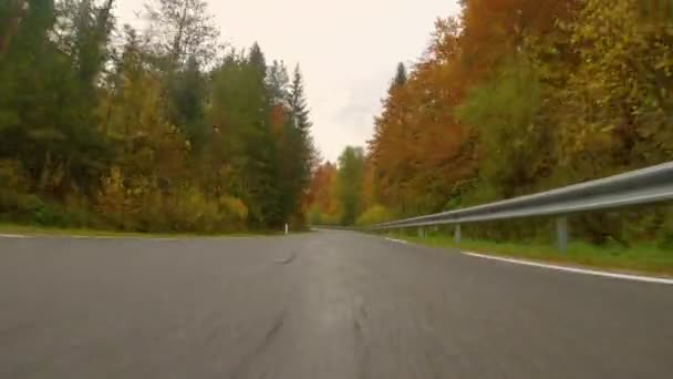 POV: Conduciendo por una ruta panorámica que conduce a través del bosque cambiando hojas. — Vídeo de stock