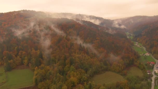 AERIAL: Vliegen op een kleurrijke heuvel bedekt door bomen van kleur veranderen in de herfst. — Stockvideo