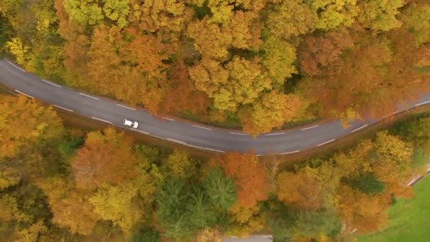 TOP DOWN Vliegen boven een auto op schilderachtige rit door de kleurrijke Sloveense bossen — Stockvideo