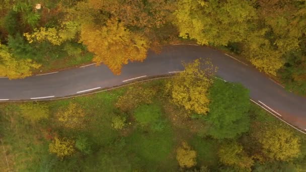 TOP DOWN: Pusta trasa widokowa prowadzi przez las liściasty zmieniając kolory. — Wideo stockowe