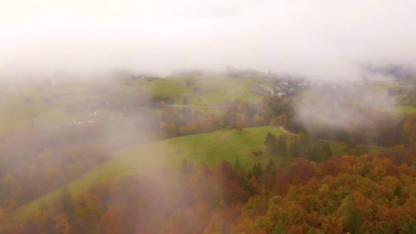 AERIAL: Voando sobre a floresta nebulosa e em direção a uma aldeia na Eslovénia rural — Vídeo de Stock