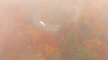 Sisli bir günde, beyaz minibüsün arkasında dikkatli bir şekilde orman yolunda uçuyor.