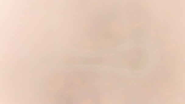 TOP DOWN: Nevoeiro cobre a volta do grampo de cabelo de uma estrada switchback em florestas coloridas de outono — Vídeo de Stock