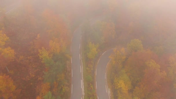 AERIAL: repül végig üres aszfalt út kanyargós az őszi színes erdő. — Stock videók