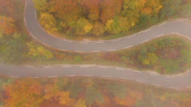 안개낀 가을 날, 경치가 아름다운 숲 길을 구불구불 하게 만들어 놓은 머리핀을 타고 날아오르는 모습. — 비디오