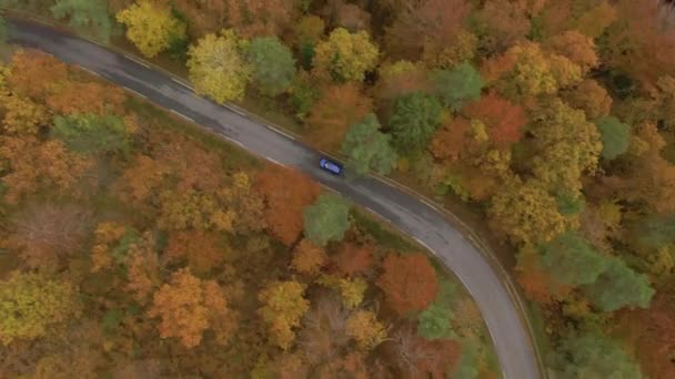 AERIAL, TOP DOWN: Drone punktu widzenia turystycznego samochodu zwiedzanie lasów jesiennych. — Wideo stockowe