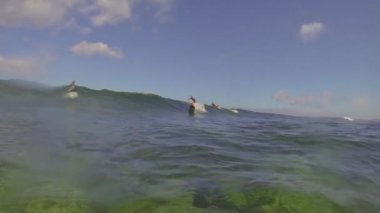 Kanarya Adaları'nda dalgalar binmek sörfçü
