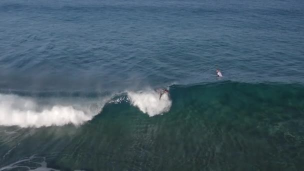 Surfer fängt eine Welle — Stockvideo