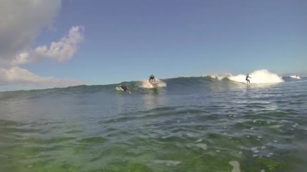 Surfare surfing — Stockvideo