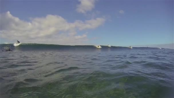 Sculpture de surfeurs sur une grosse vague — Video