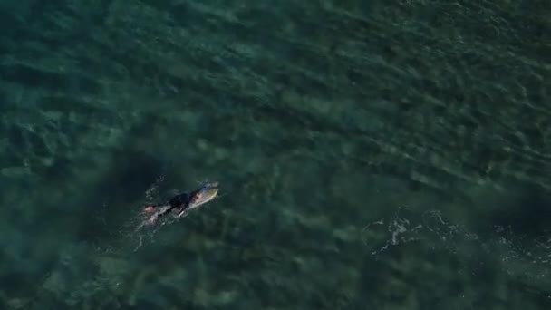 Bir dalga için kürek çekmeye sörfçü — Stok video