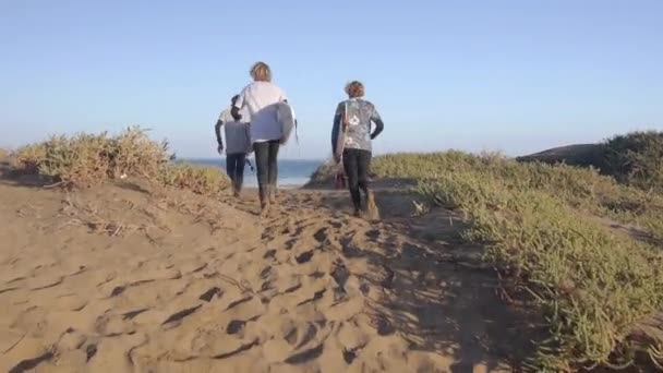 Серфери, що працюють на піску до океану — стокове відео