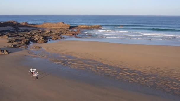 Surfistas corriendo hacia el océano — Vídeos de Stock